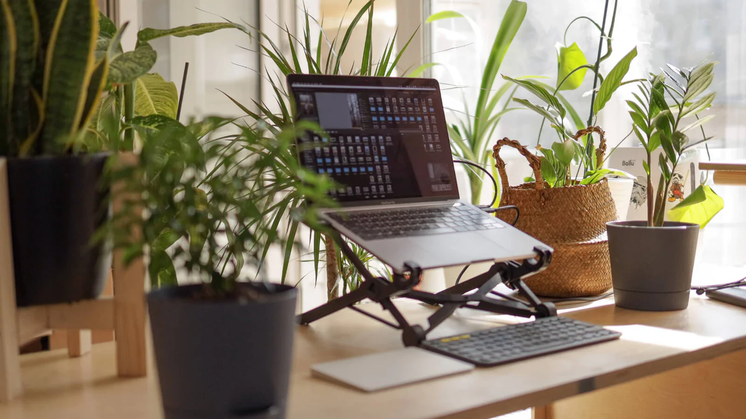 Best Digital Nomad Laptop Stand in 2024
